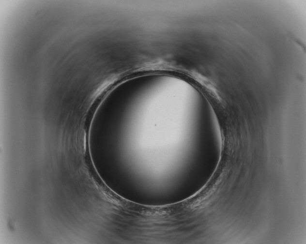 X0000094931221200711291327