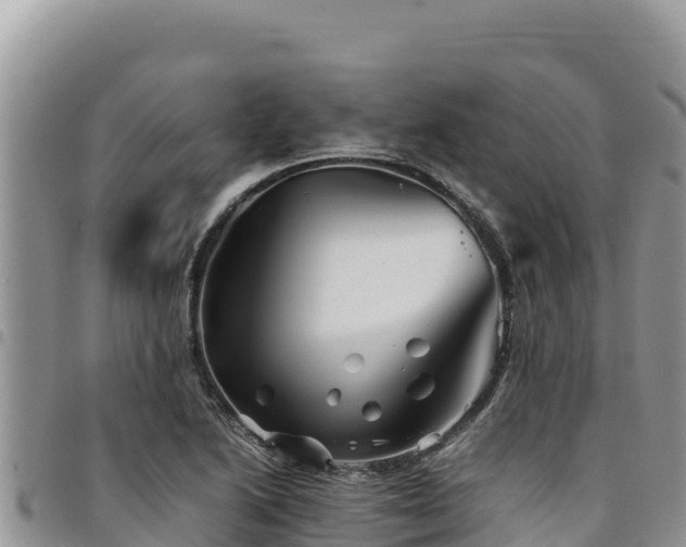 X0000094931222200711291327