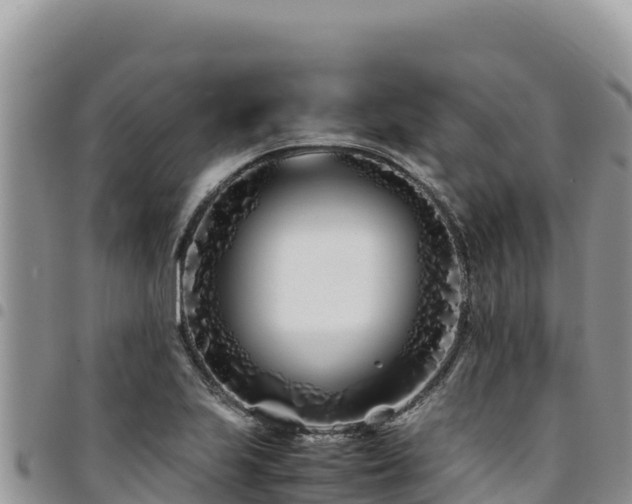 X0000094931223200711291327