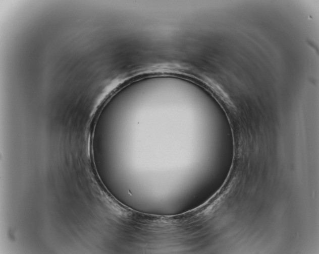 X0000094931224200711291327