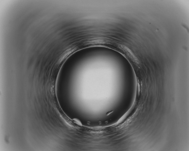 X0000094931225200711291327