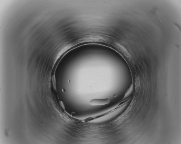 X0000094931226200711291327