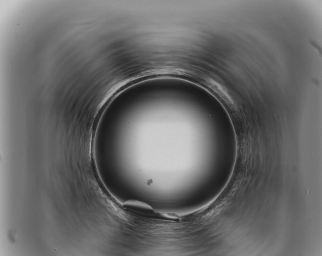 X0000094931228200711291327