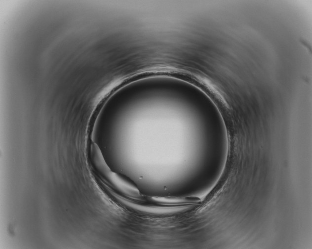 X0000094931229200711291327