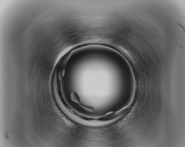 X0000094931230200711291327