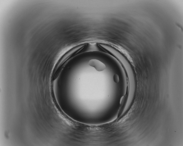 X0000094931231200711291327