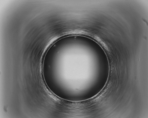 X0000094931232200711291327