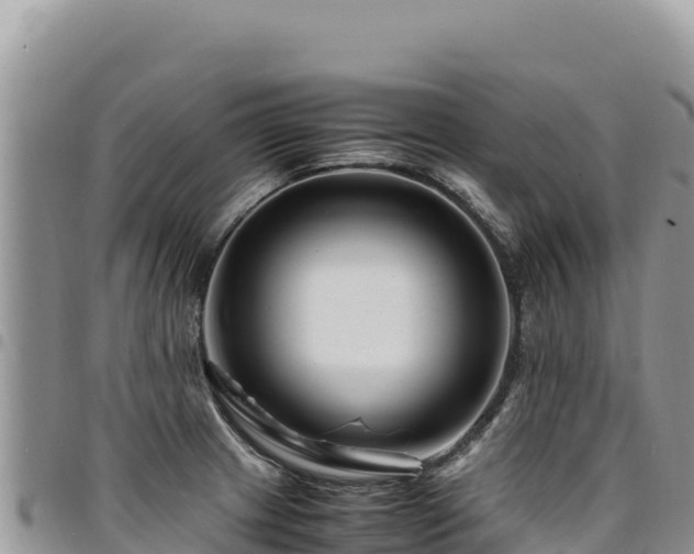 X0000094931233200711291327