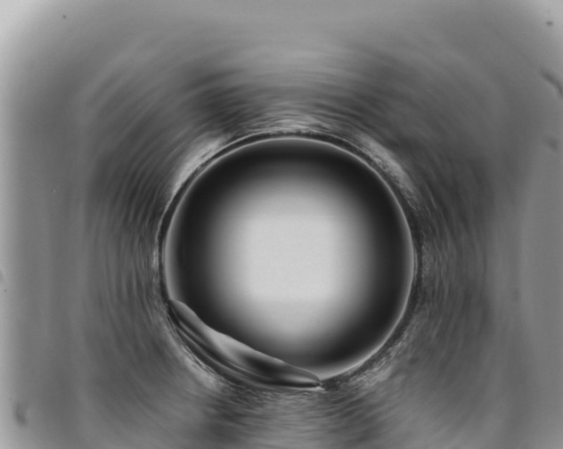 X0000094931234200711291327