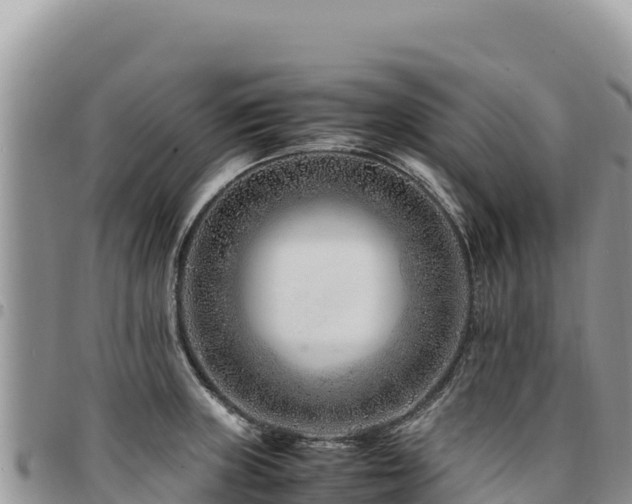 X0000094931235200711291327