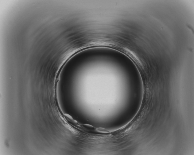 X0000094931236200711291327