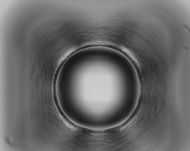 X0000094931237200711291327