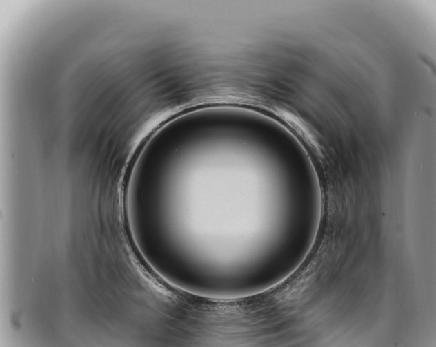X0000094931238200711291327