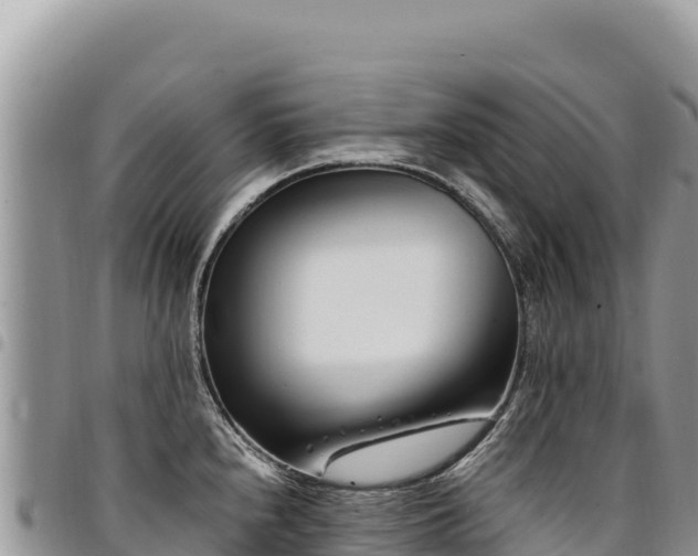 X0000094931240200711291327