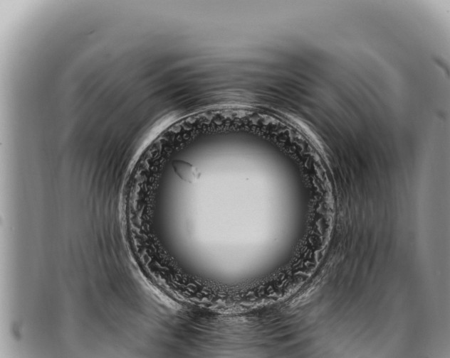 X0000094931243200711291327