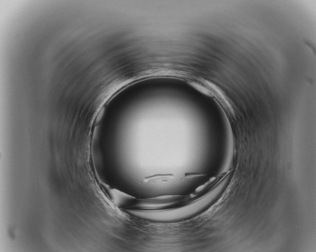 X0000094931244200711291327