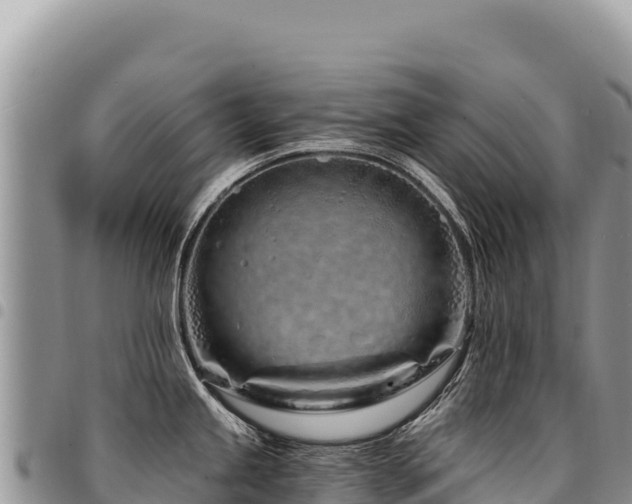 X0000094931245200711291328