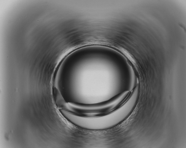 X0000094931246200711291328