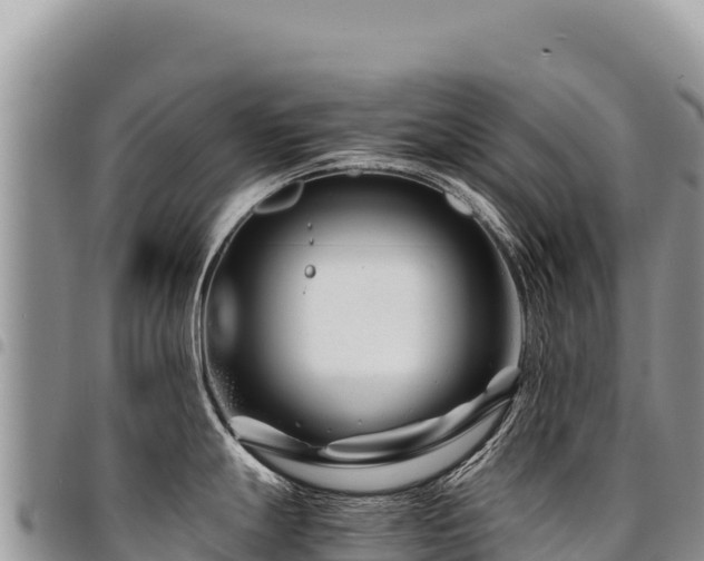 X0000094931247200711291328