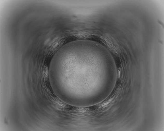 X0000094931251200711291327