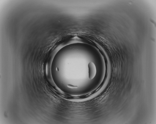 X0000094931252200711291327