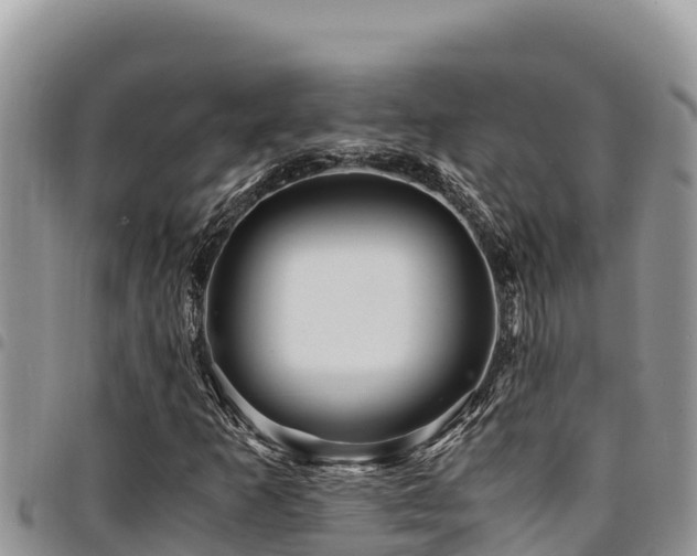 X0000094931253200711291327