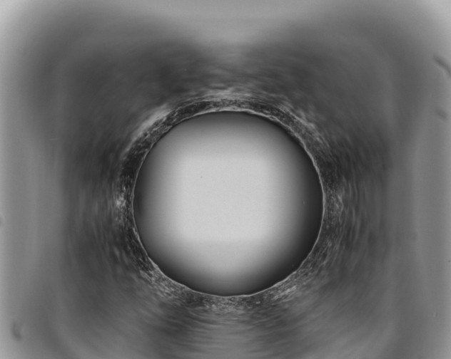 X0000094931254200711291327