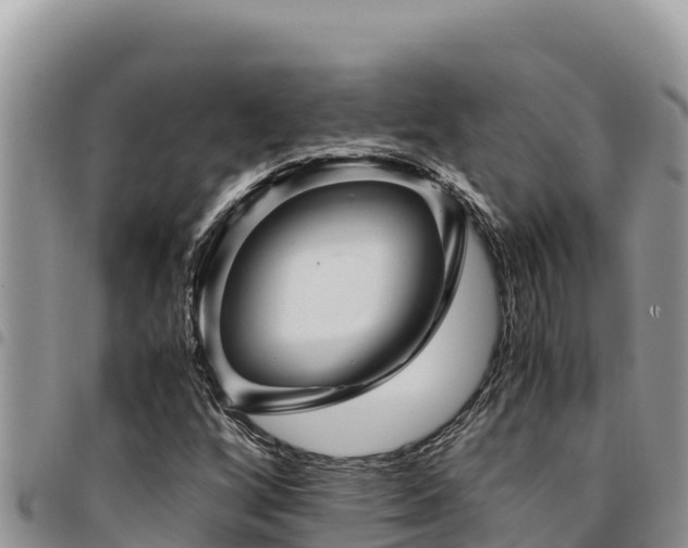 X0000094931256200711291327