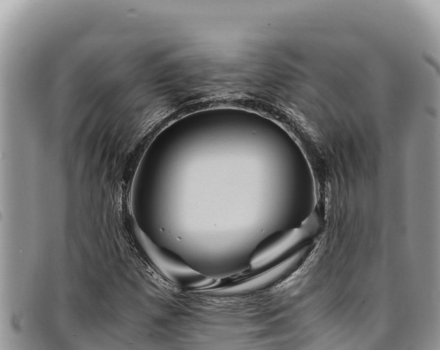 X0000094931257200711291327