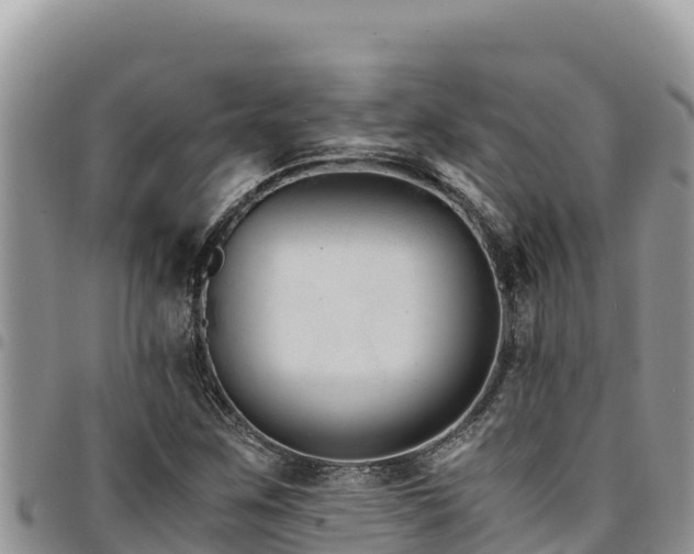 X0000094931259200711291327