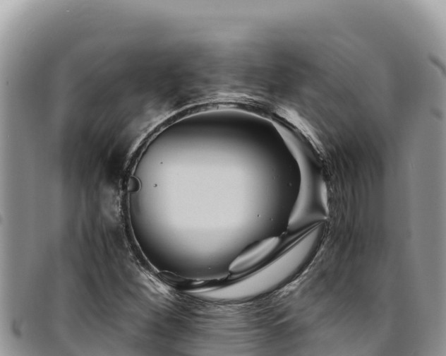 X0000094931260200711291327