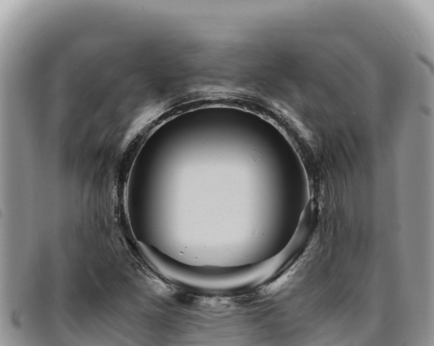 X0000094931261200711291327