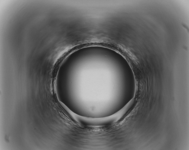 X0000094931262200711291327