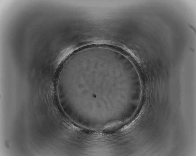 X0000094931263200711291327