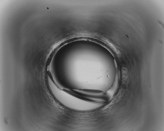 X0000094931264200711291327