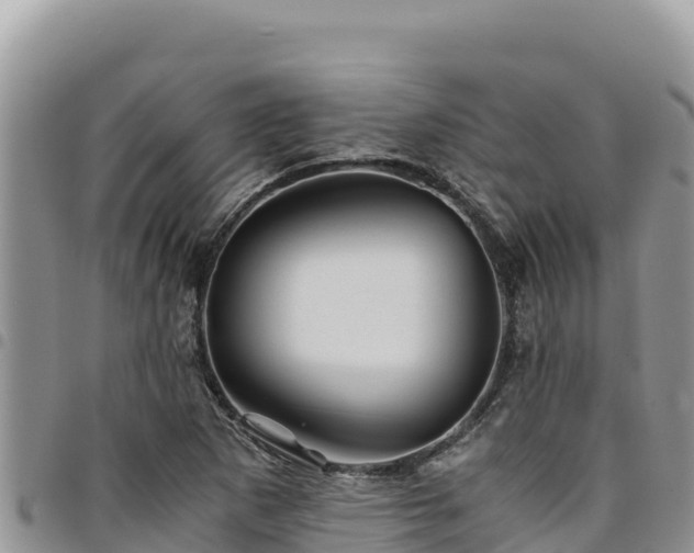 X0000094931265200711291327