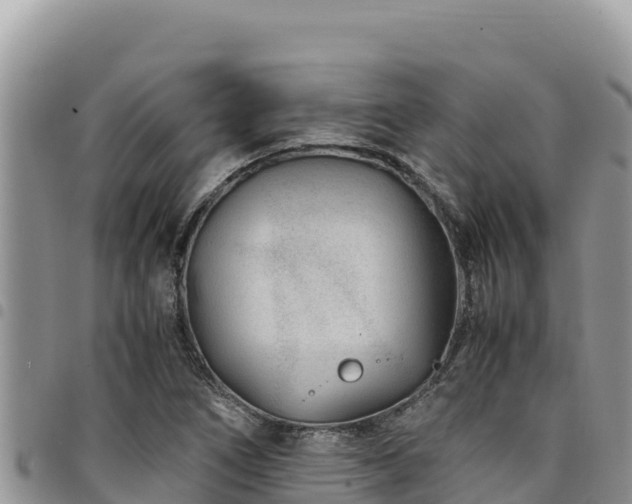 X0000094931266200711291327