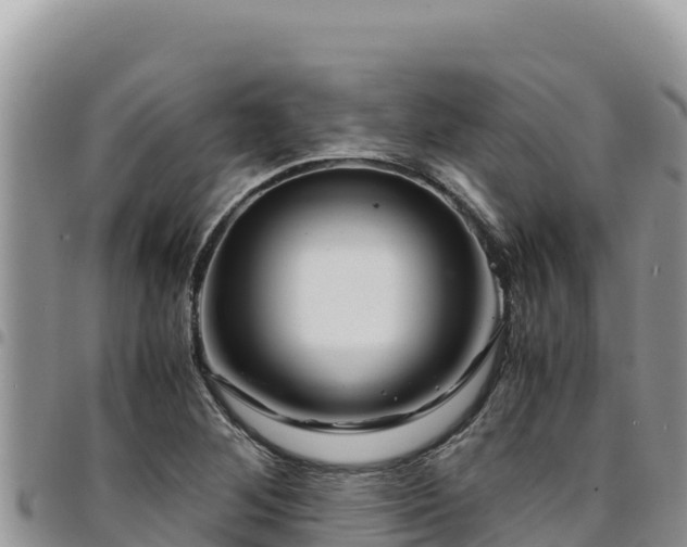 X0000094931268200711291327