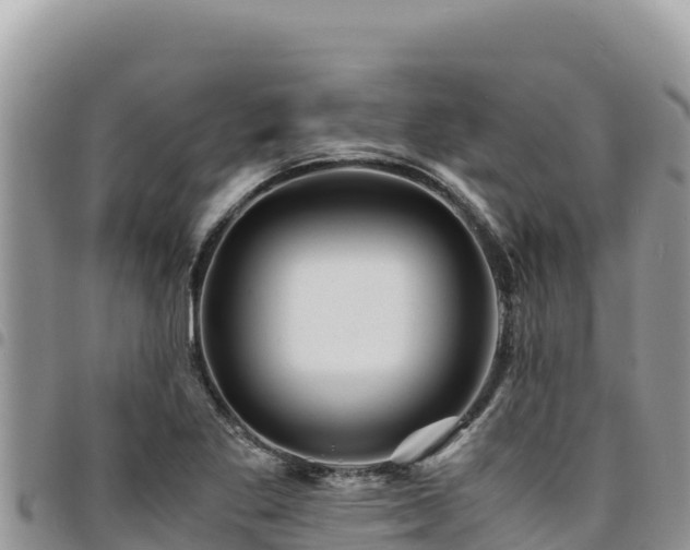 X0000094931269200711291327