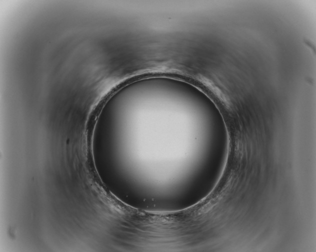 X0000094931270200711291327
