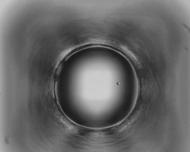 X0000094931272200711291327