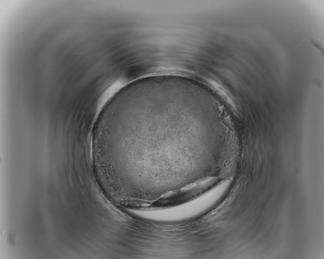 X0000094931275200711291327