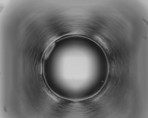 X0000094931276200711291327