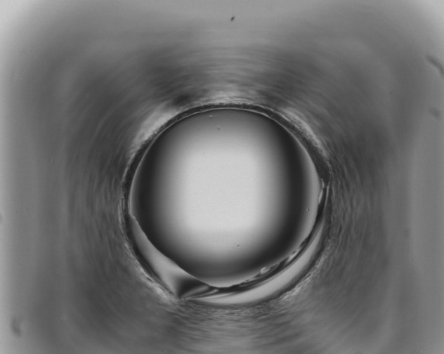 X0000094931277200711291327