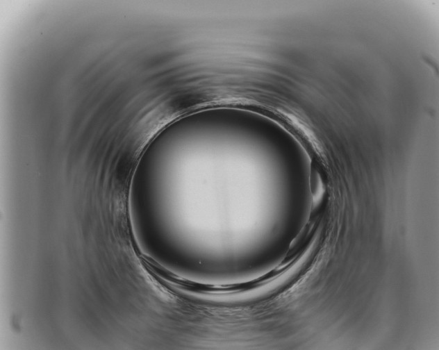 X0000094931281200711291326