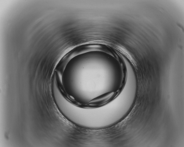 X0000094931284200711291326