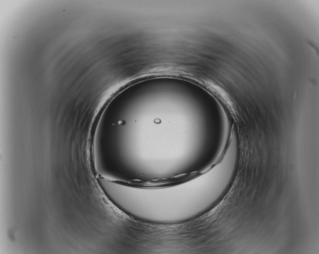 X0000094931288200711291326
