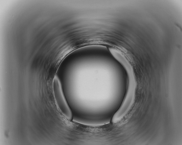 X0000094931289200711291326