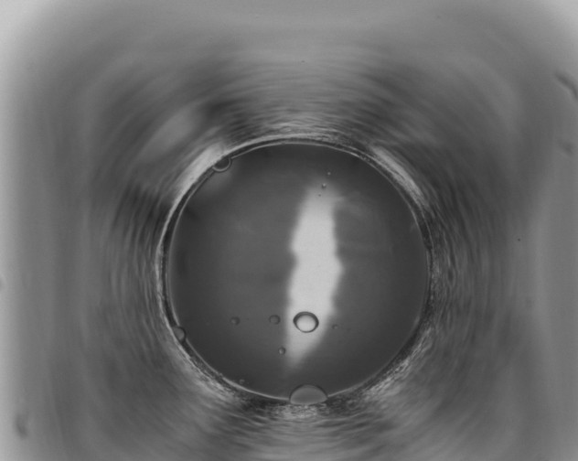 X0000094931291200711291326
