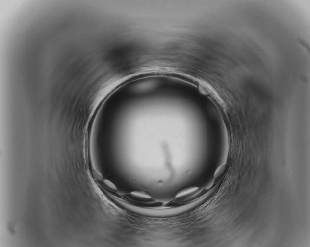 X0000094931295200711291326